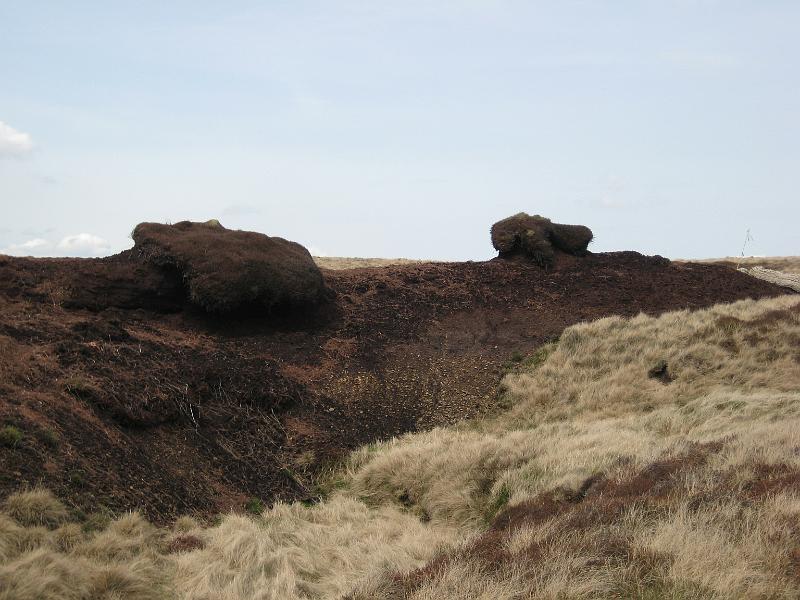 Charlie Spinks 40th 042.jpg